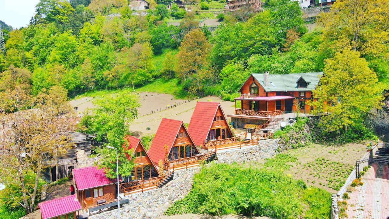 The Wooden House Uzungoel Uzungöl Exterior photo