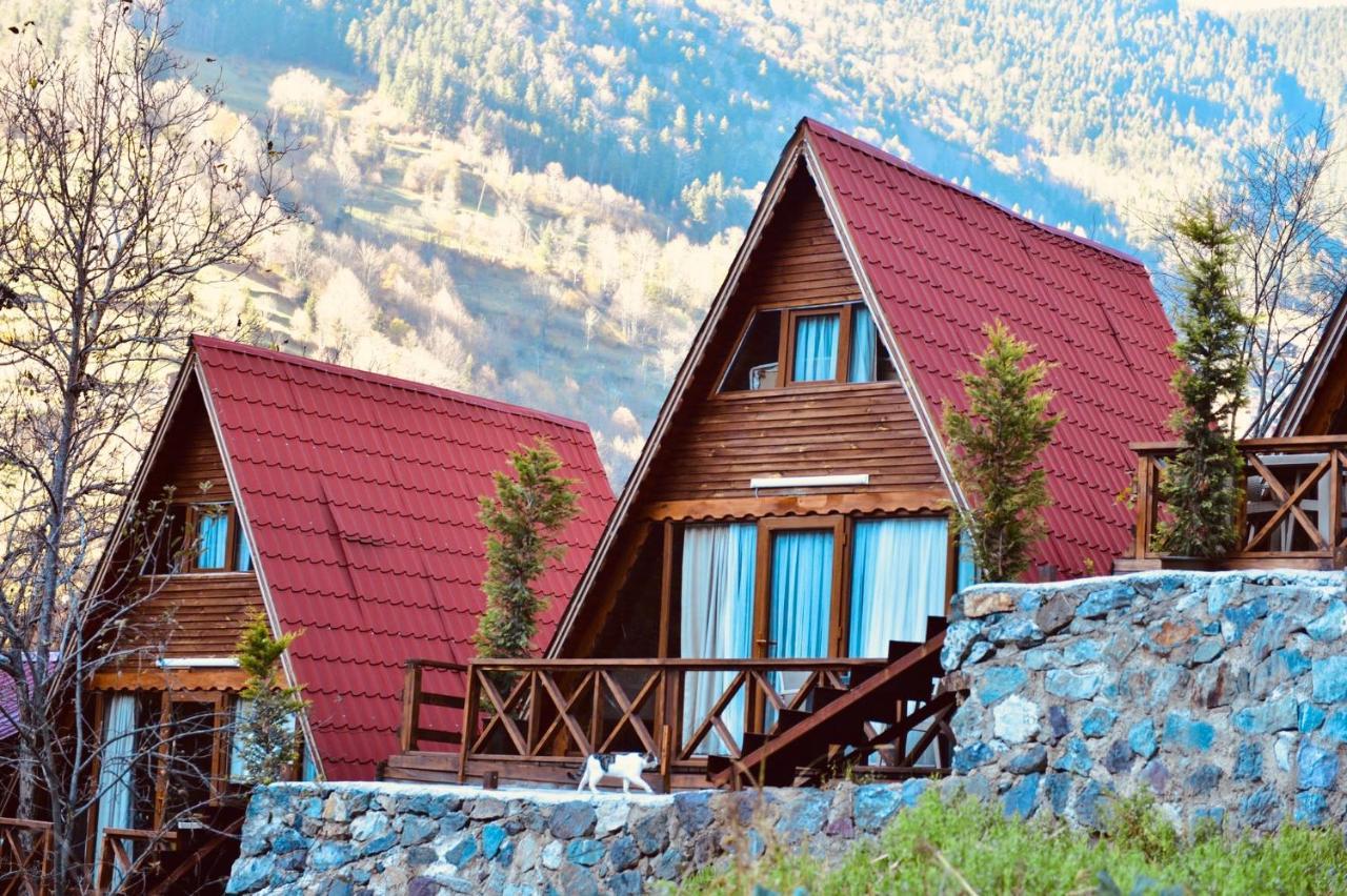 The Wooden House Uzungoel Uzungöl Exterior photo