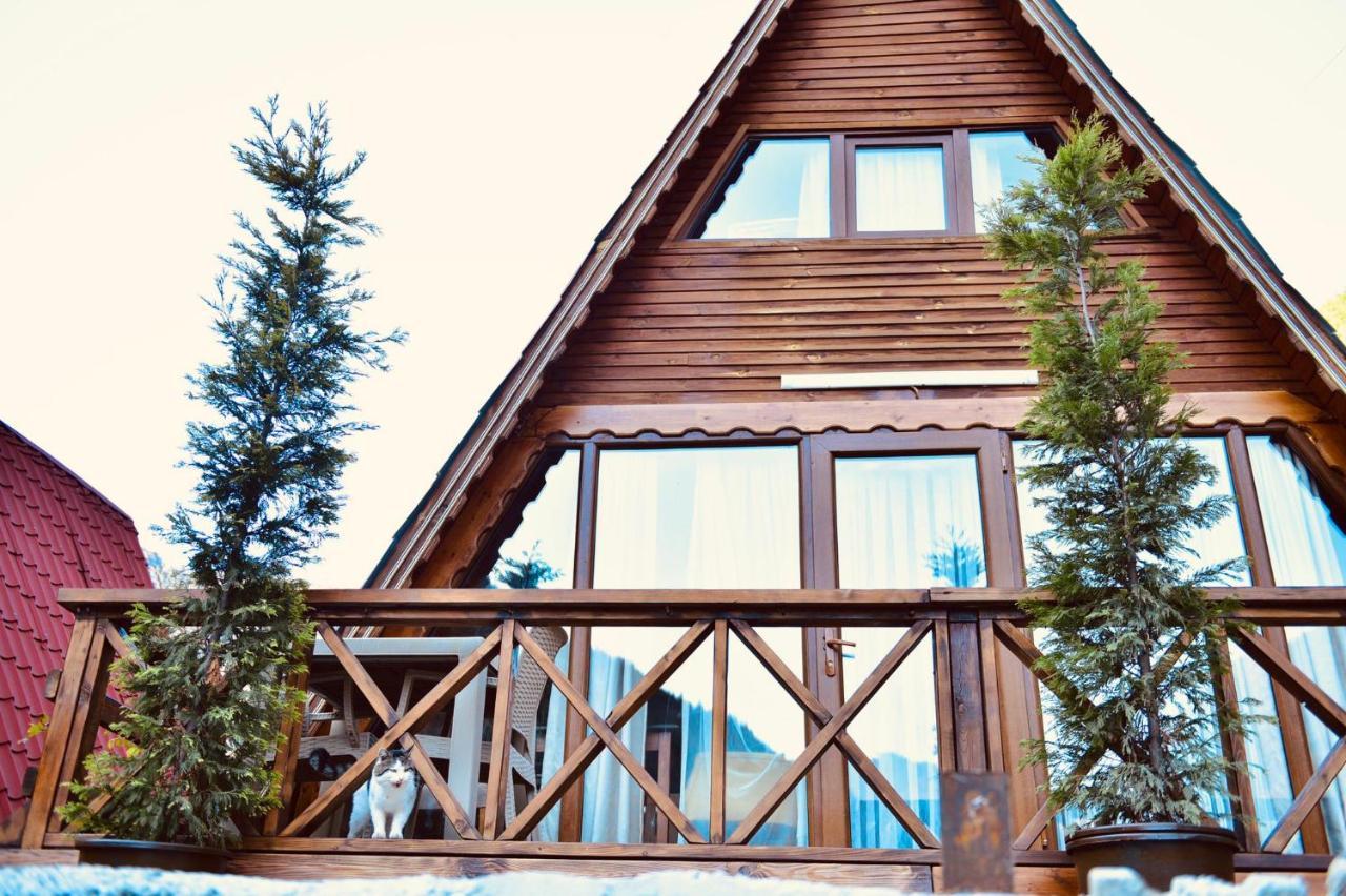 The Wooden House Uzungoel Uzungöl Exterior photo